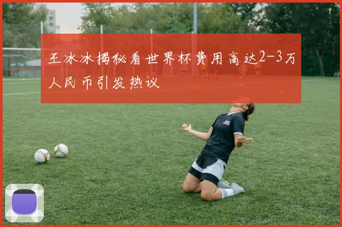 王冰冰揭秘看世界杯费用高达2-3万人民币引发热议
